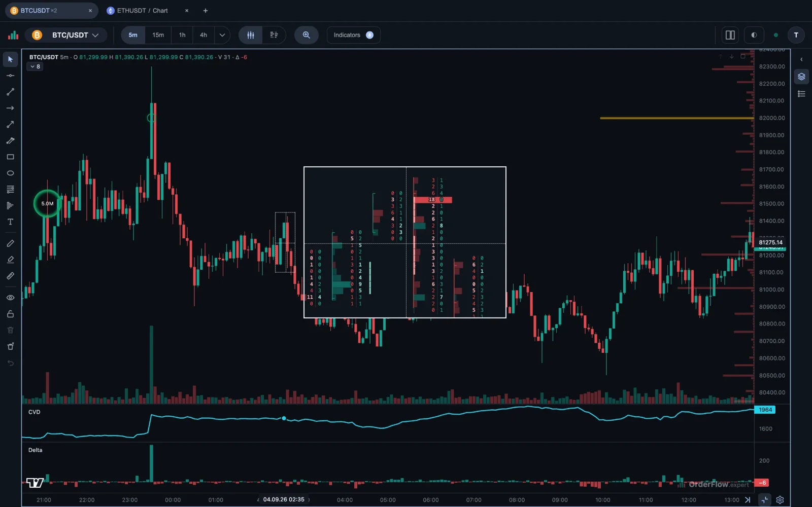 The five-bar magnifier open over a five-minute chart: the panel shows the footprint of five bars at readable size, sell beside buy on every price row, while the ordinary candles stay visible around it.